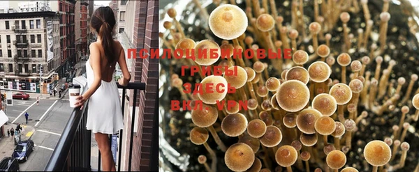 apvp Нефтегорск