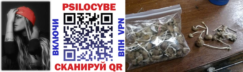 Псилоцибиновые грибы Psilocybine cubensis  Шали 